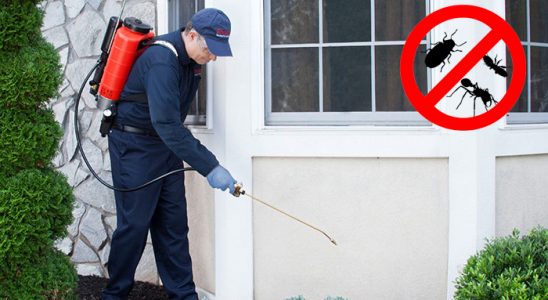Sincik Bit İlaçlama böcek ilaçlama ve haşere kontrolü — ilaclama-tr.com